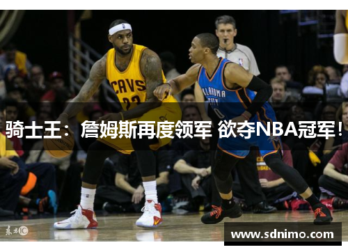 骑士王：詹姆斯再度领军 欲夺NBA冠军！